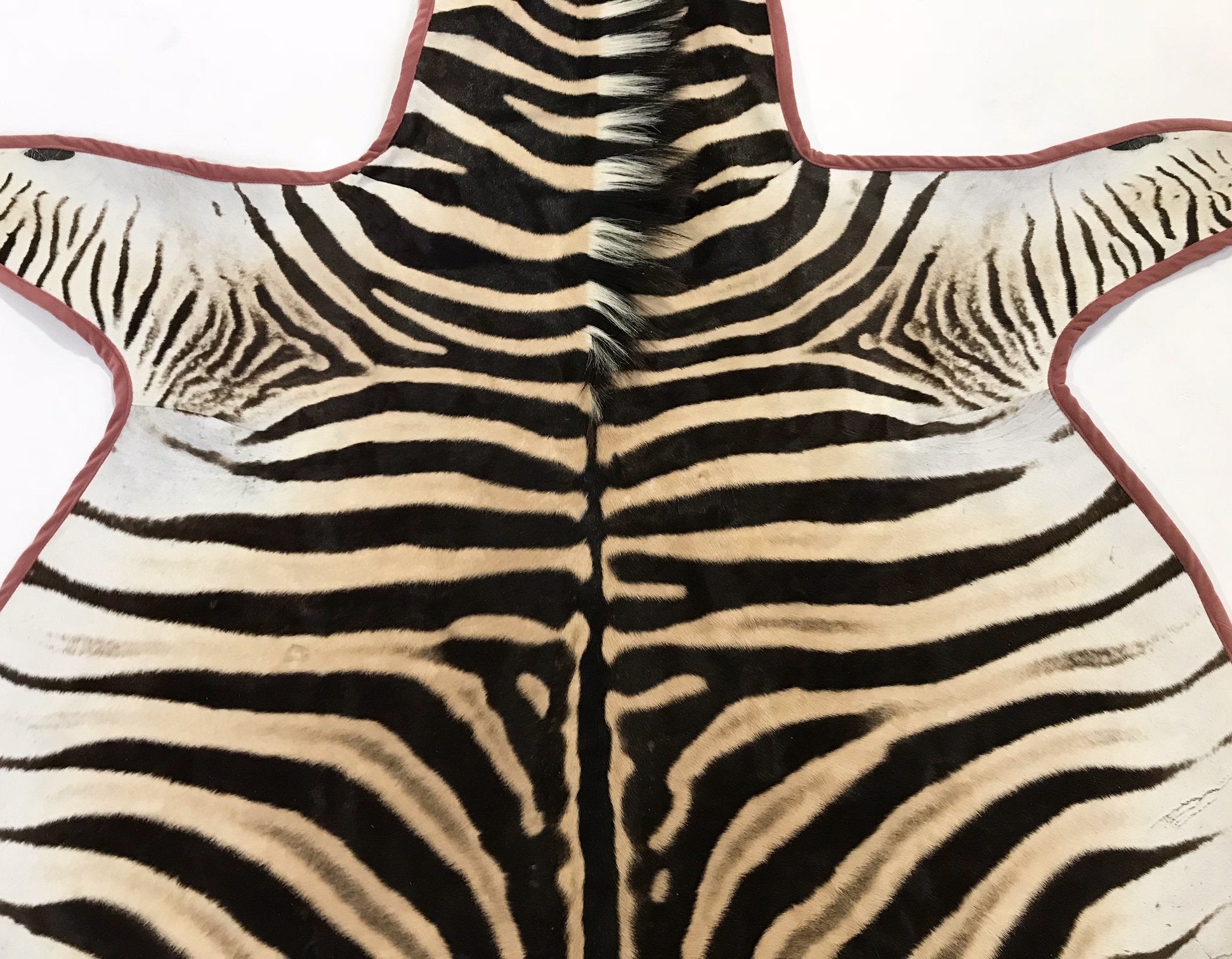 Zebra Hide Rug Trimmed in Blush Pink Velvet