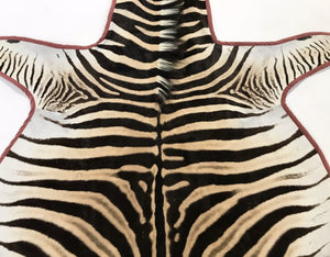 Zebra Hide Rug Trimmed in Blush Pink Velvet