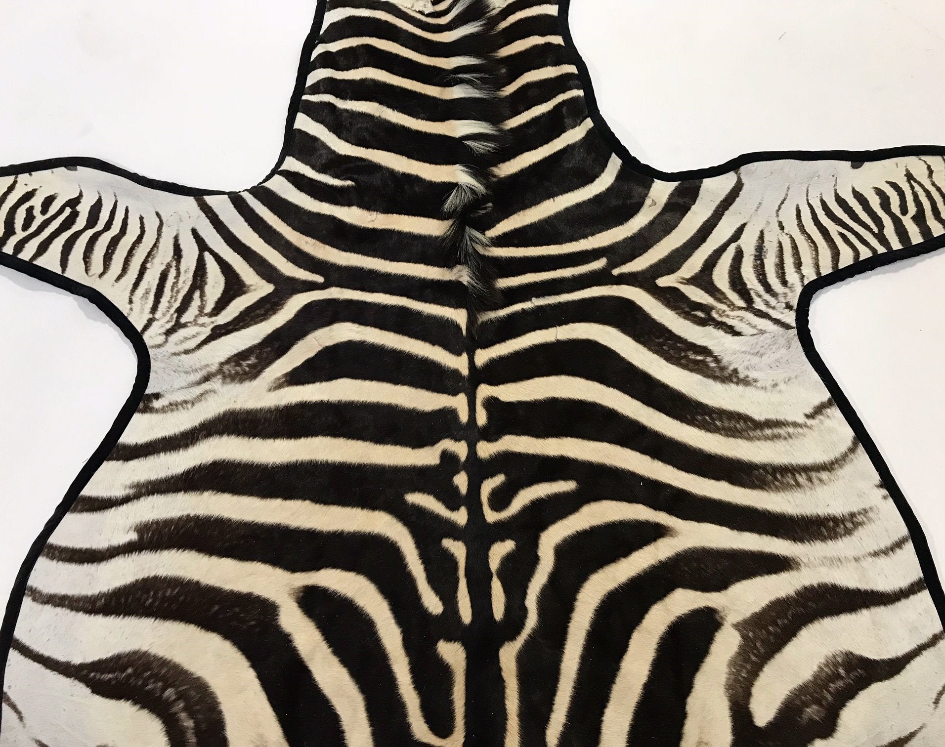 Zebra Hide Rug Trimmed in Black Velvet