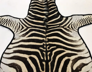 Zebra Hide Rug Trimmed in Black Velvet