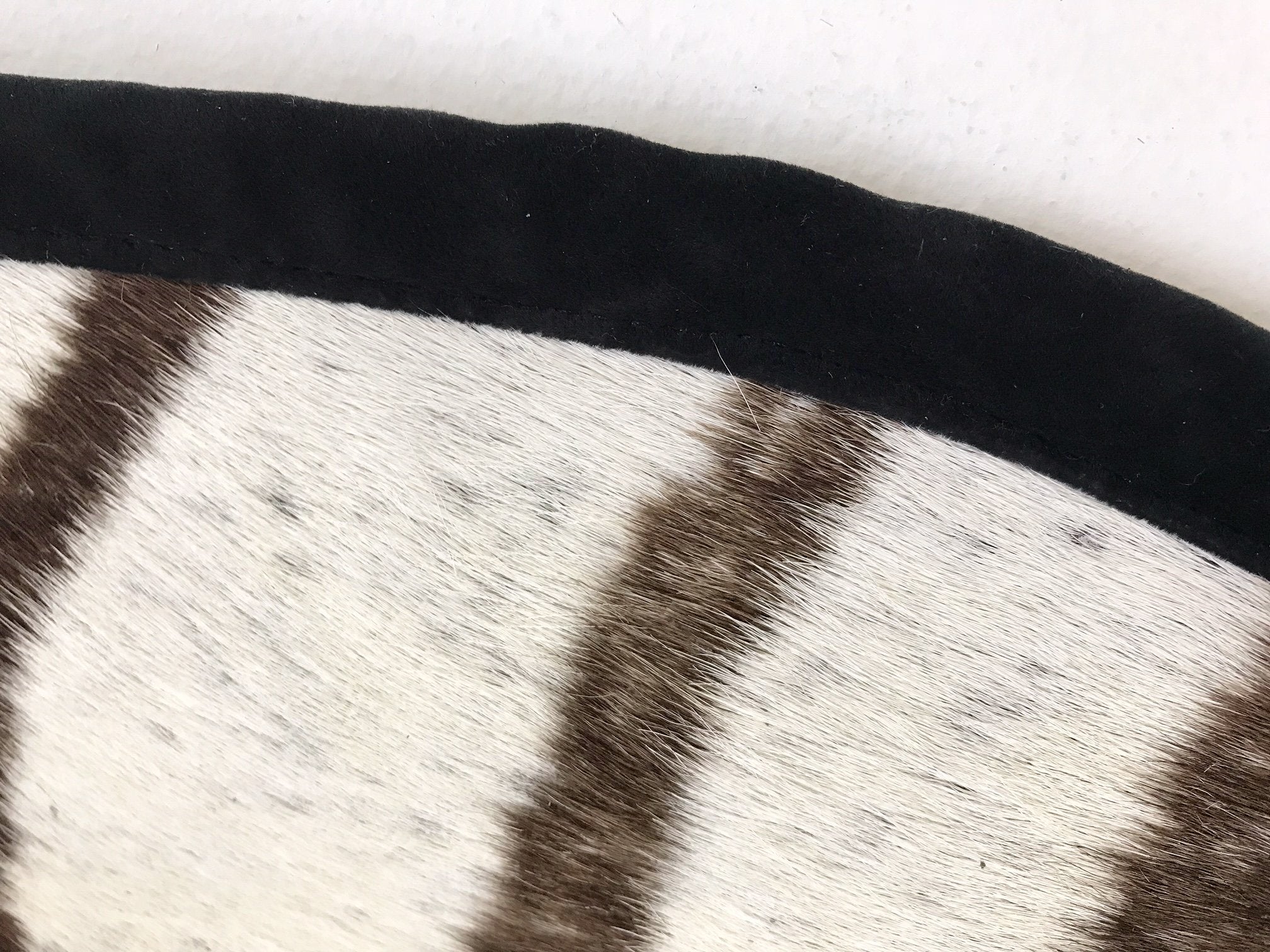Zebra Hide Rug Trimmed in Black Velvet
