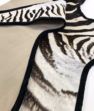 Zebra Hide Rug Trimmed in Black Velvet