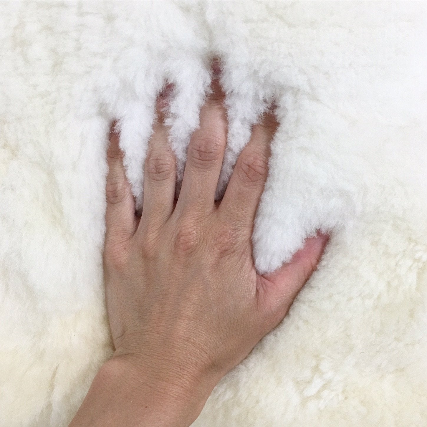 Alpaca Pillow
