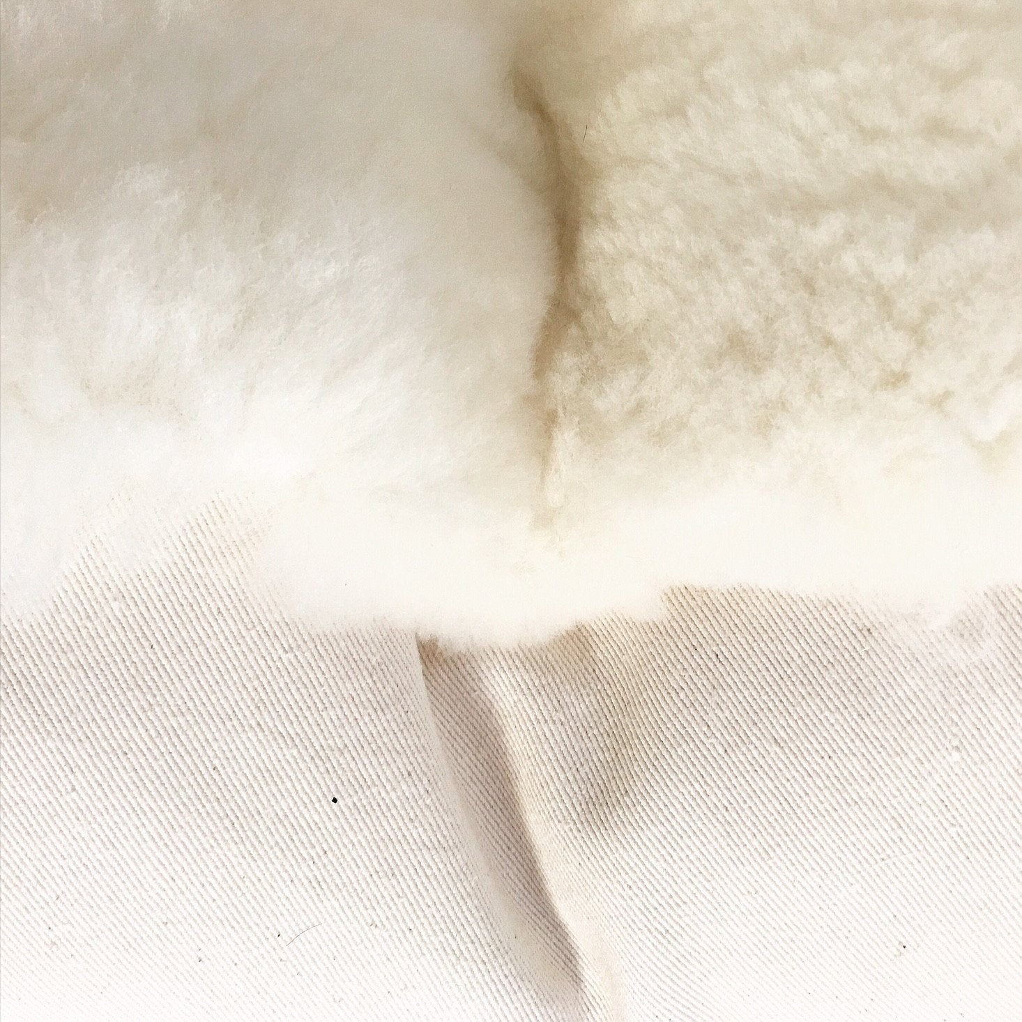 Alpaca Pillow