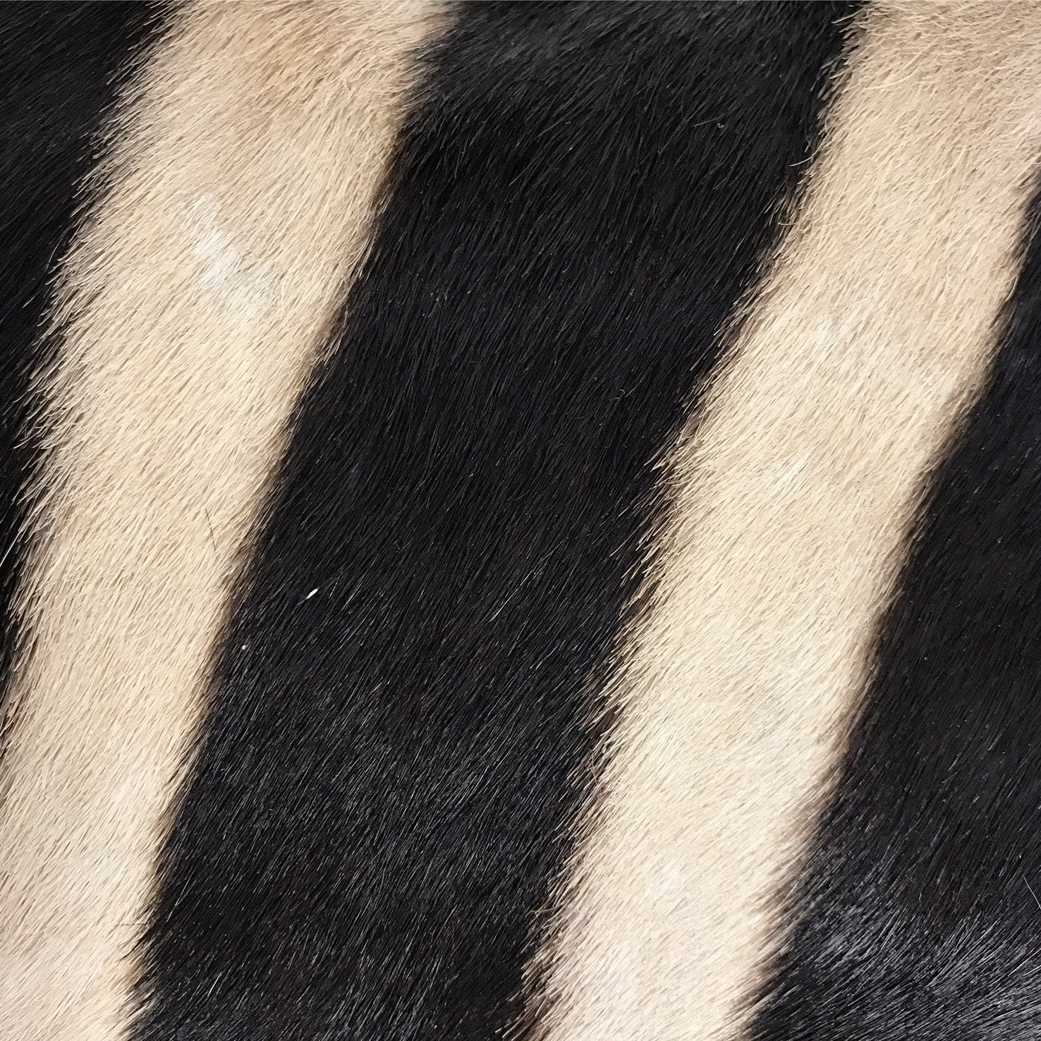 ZEBRA HIDE PILLOW, NO. 63