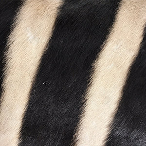 ZEBRA HIDE PILLOW, NO. 63