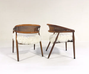 Caned Back Armchairs in Brazilian Sheepskin