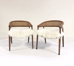 Caned Back Armchairs in Brazilian Sheepskin