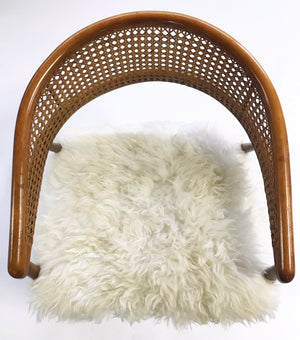 Caned Back Armchairs in Brazilian Sheepskin