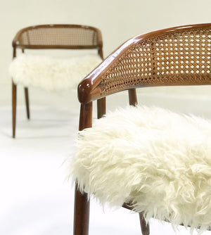 Caned Back Armchairs in Brazilian Sheepskin