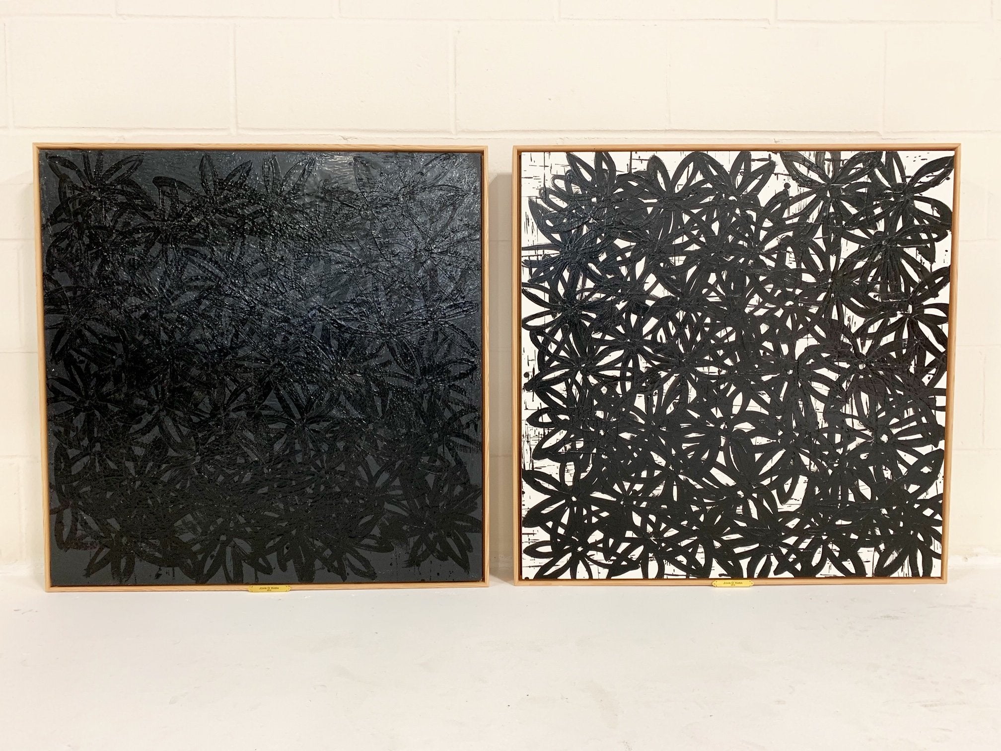 John O'Hara. Daisies, Black and White. 31x31" Pair