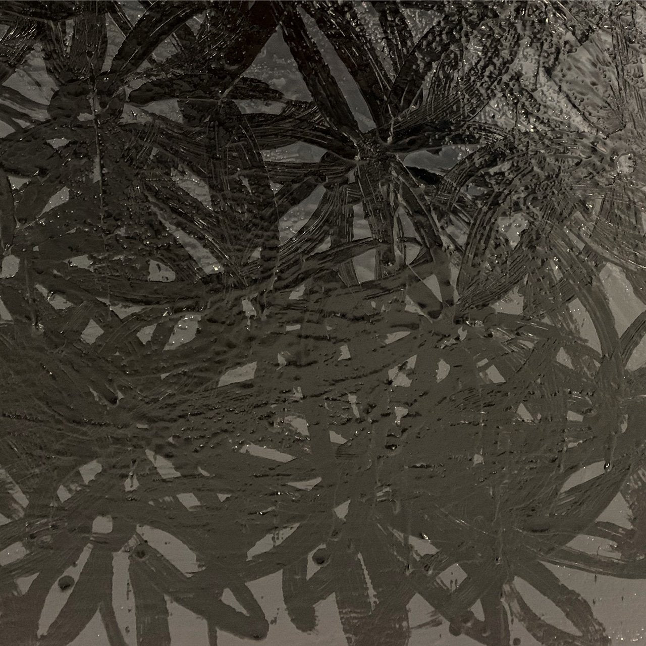 John O'Hara. Daisies, Black and White. 31x31" Pair