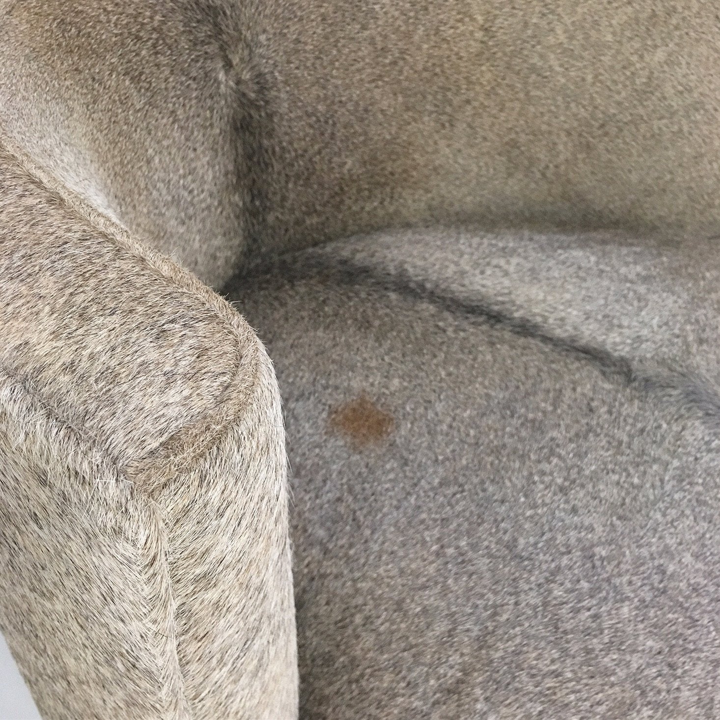 Barrel Chair in Brazilian Cowhide