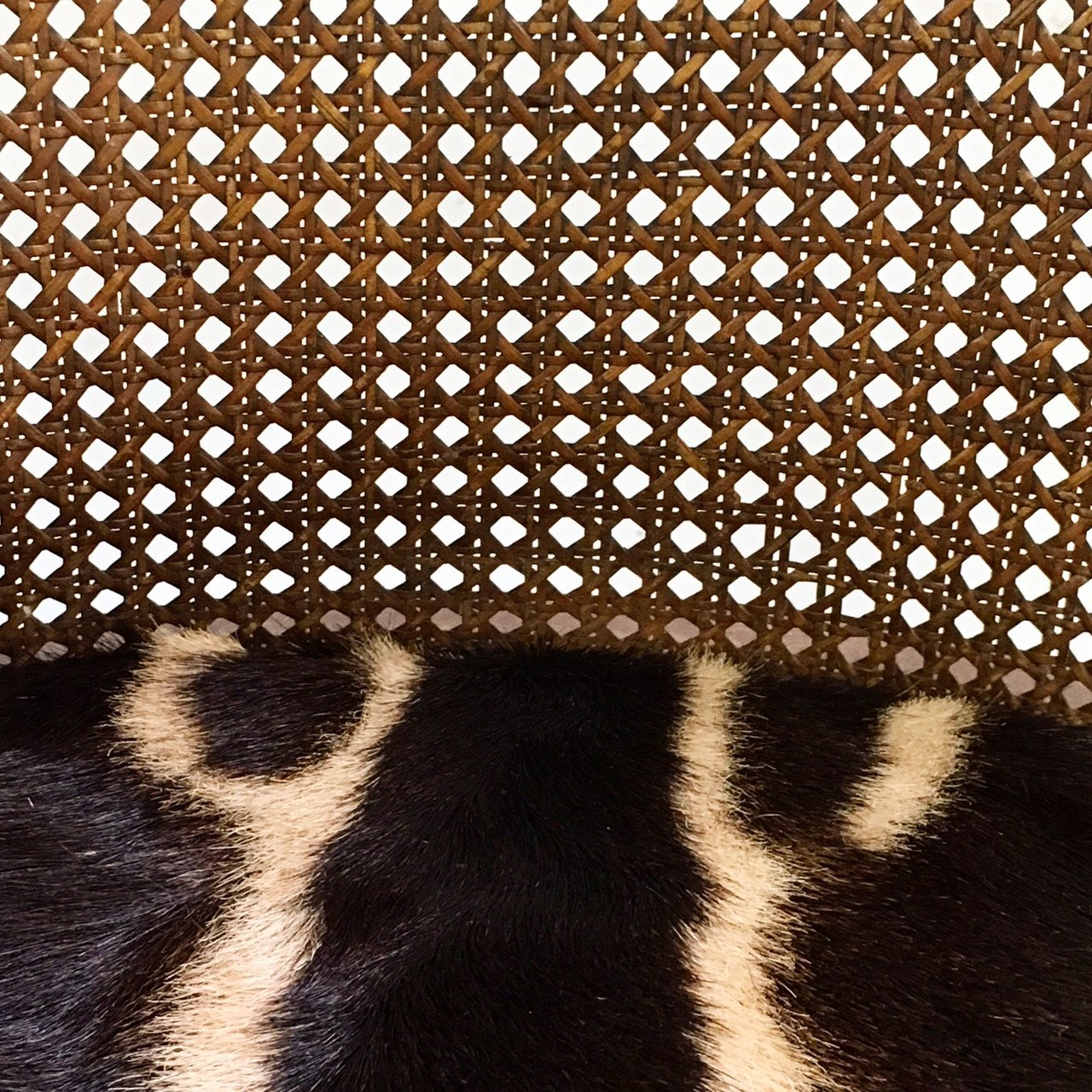 18th Century G. Jacob Mahogany & Cane Bergere Swivel Chair in Zebra Hide