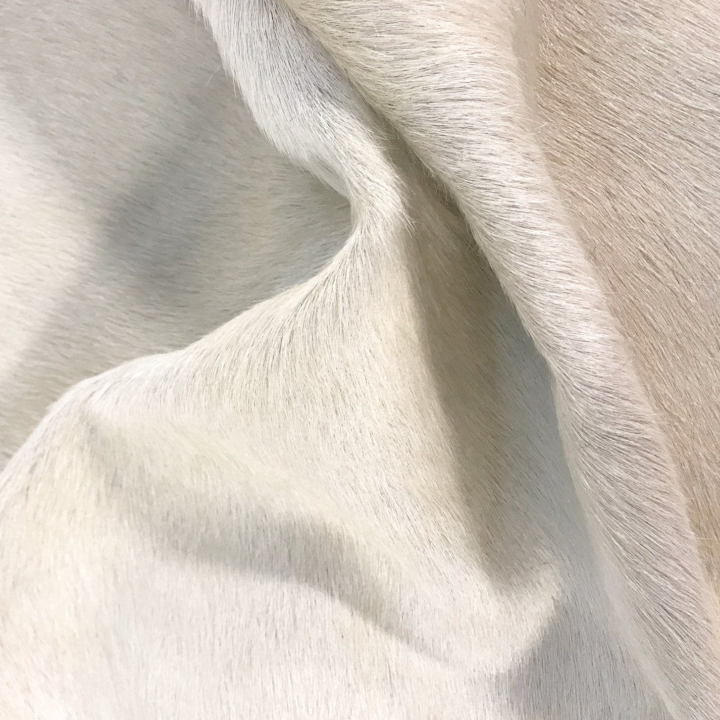 IVORY COWHIDE RUG - BUTLER