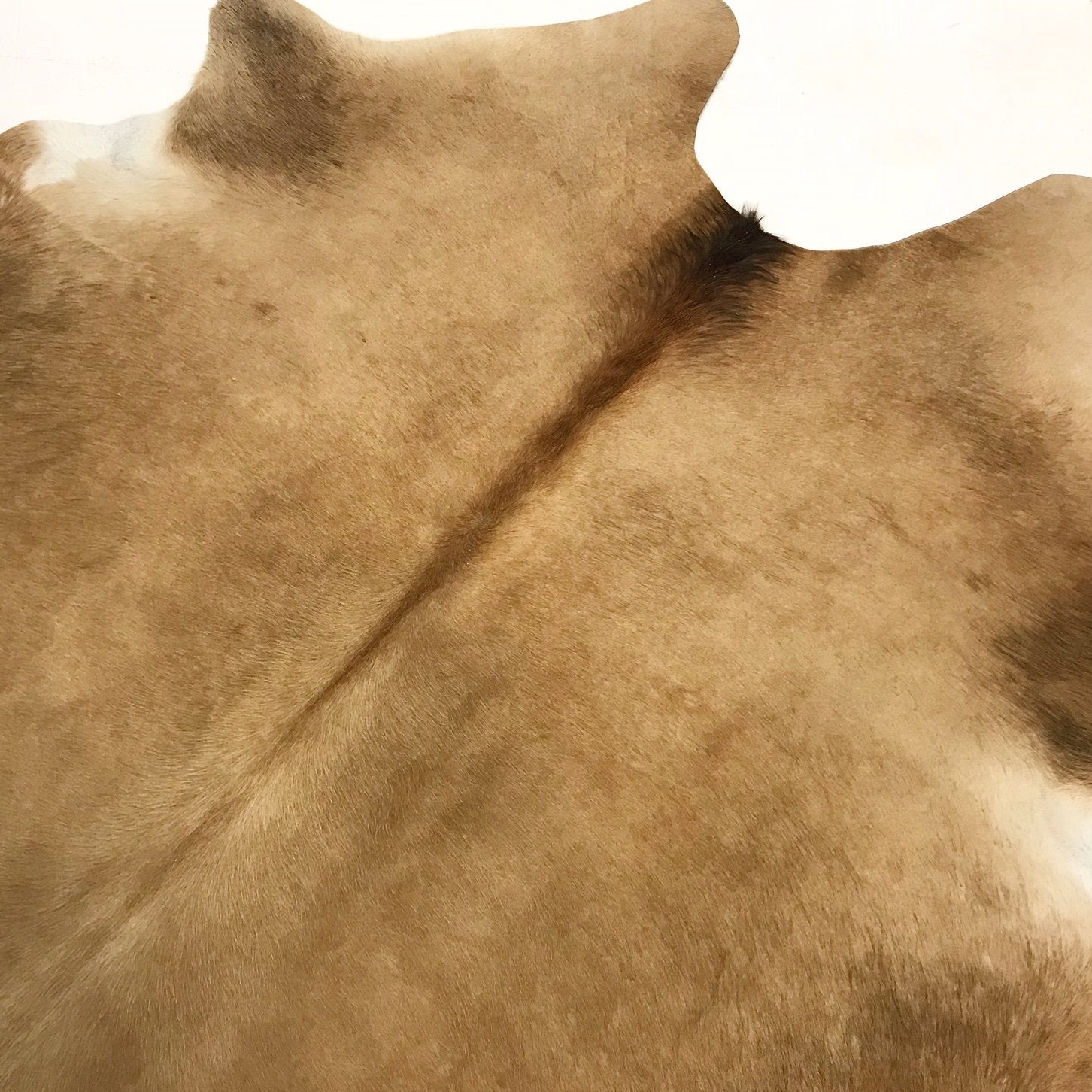 PALOMINO COWHIDE RUG - LAKE