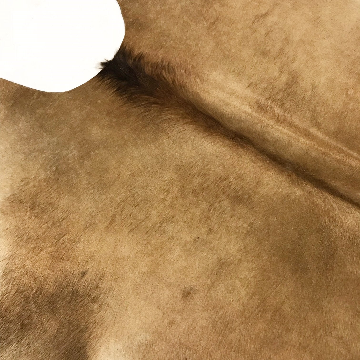 PALOMINO COWHIDE RUG - LAKE