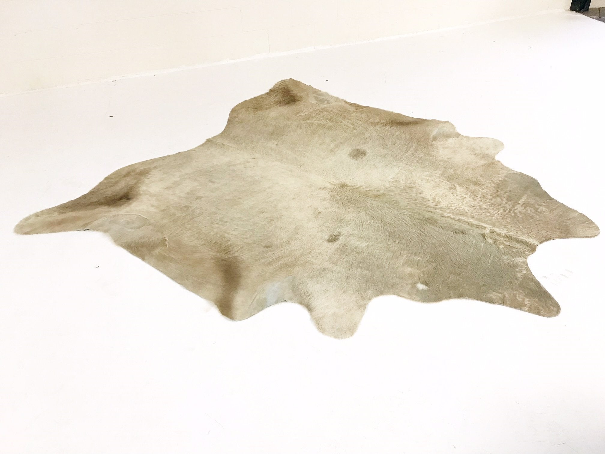CHAMPAGNE COWHIDE RUG - TALBOT