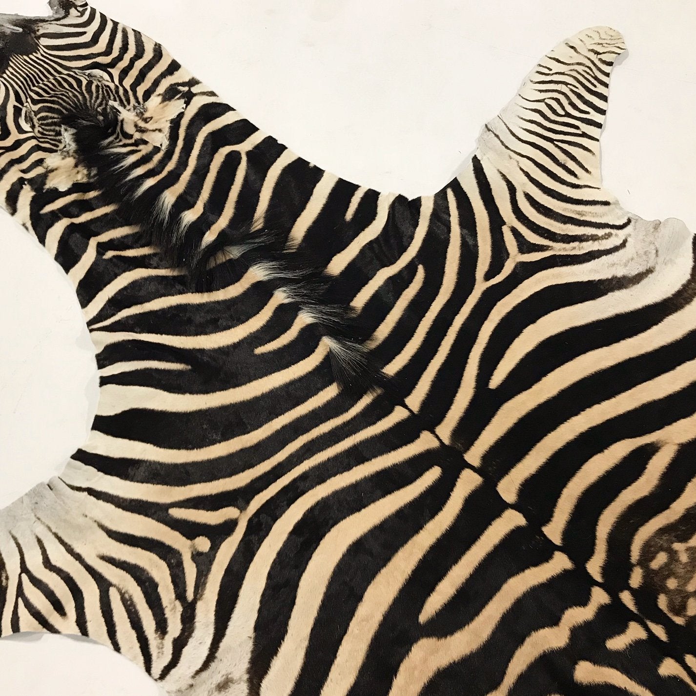 ZEBRA HIDE RUG - Ben Hill