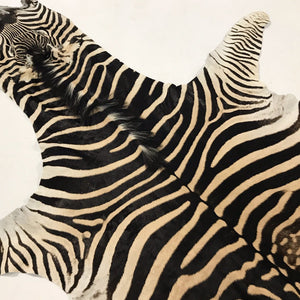 ZEBRA HIDE RUG - Ben Hill
