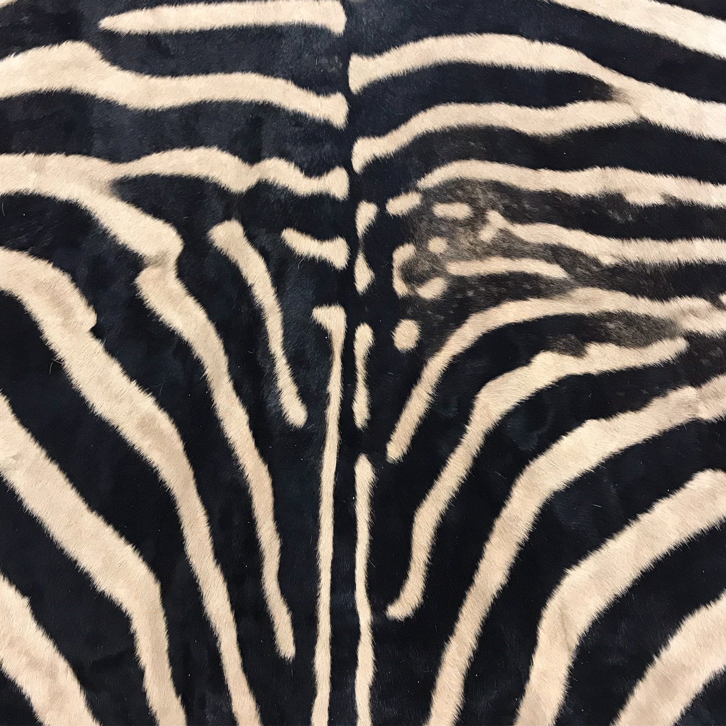 ZEBRA HIDE RUG - Ben Hill