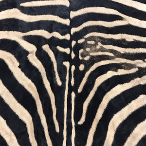 ZEBRA HIDE RUG - Ben Hill