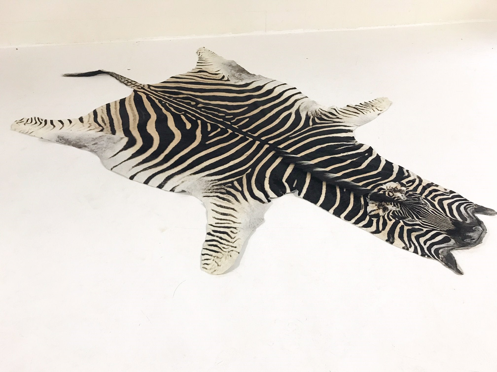 ZEBRA HIDE RUG - Fergus