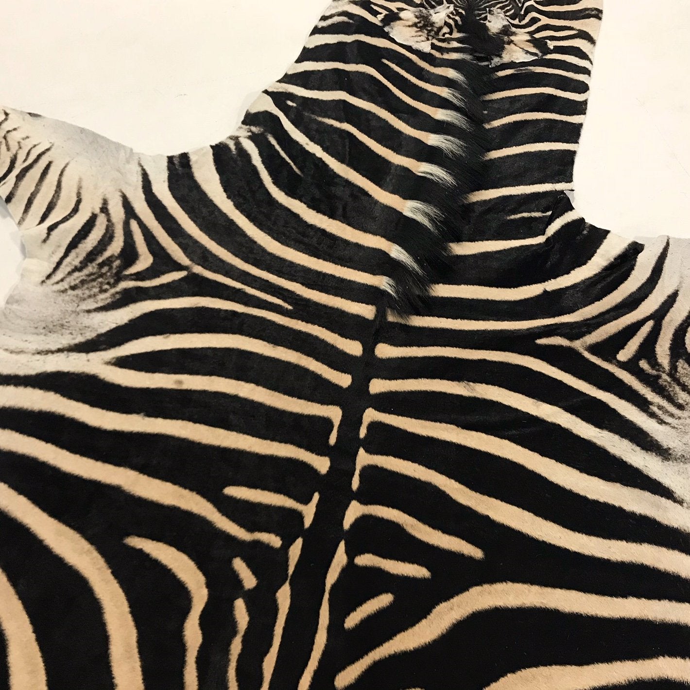 ZEBRA HIDE RUG - Fergus
