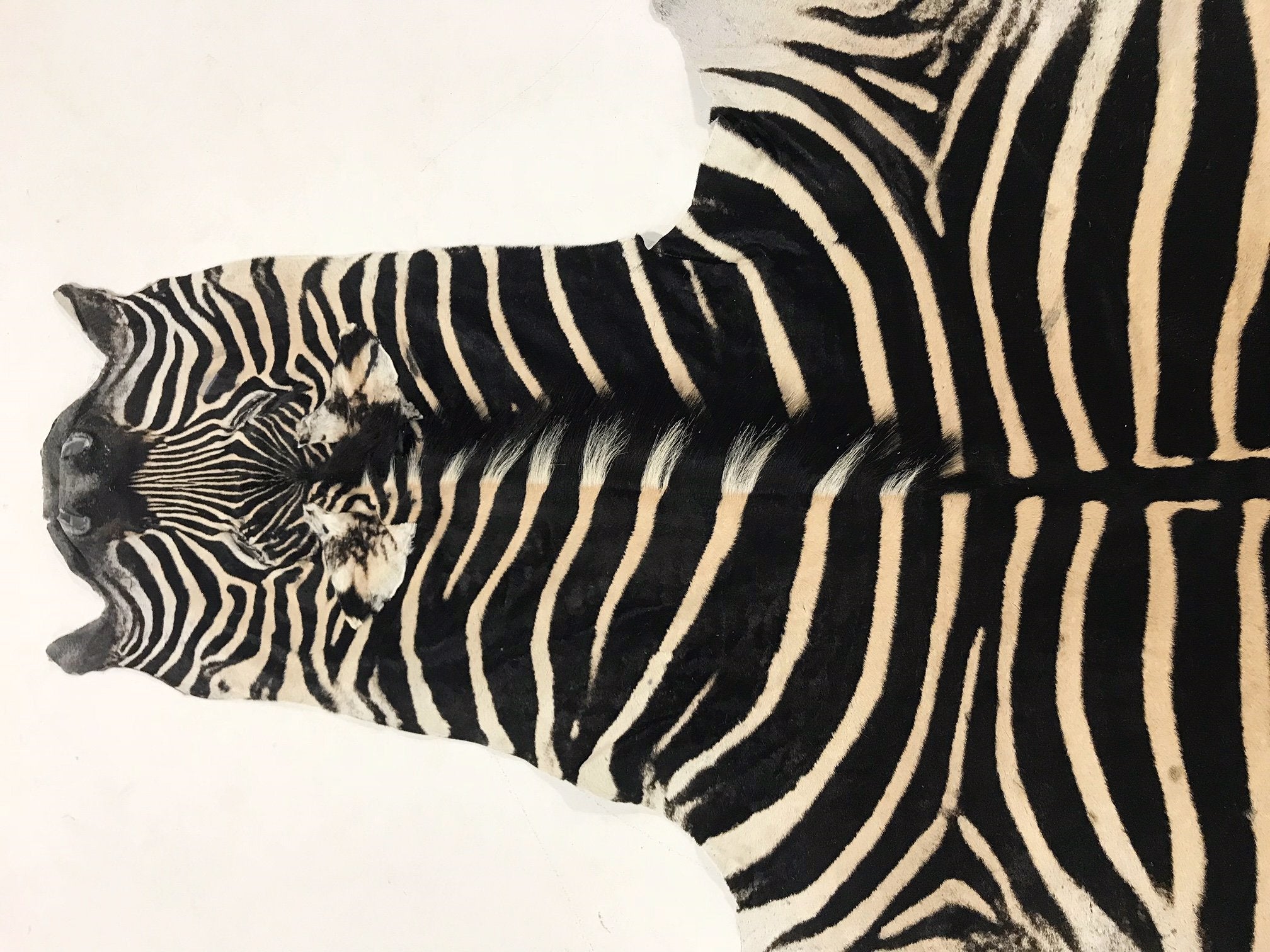 ZEBRA HIDE RUG - Fergus