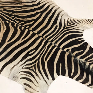 ZEBRA HIDE RUG - Navajo