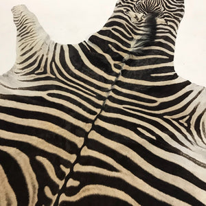 ZEBRA HIDE RUG - Navajo