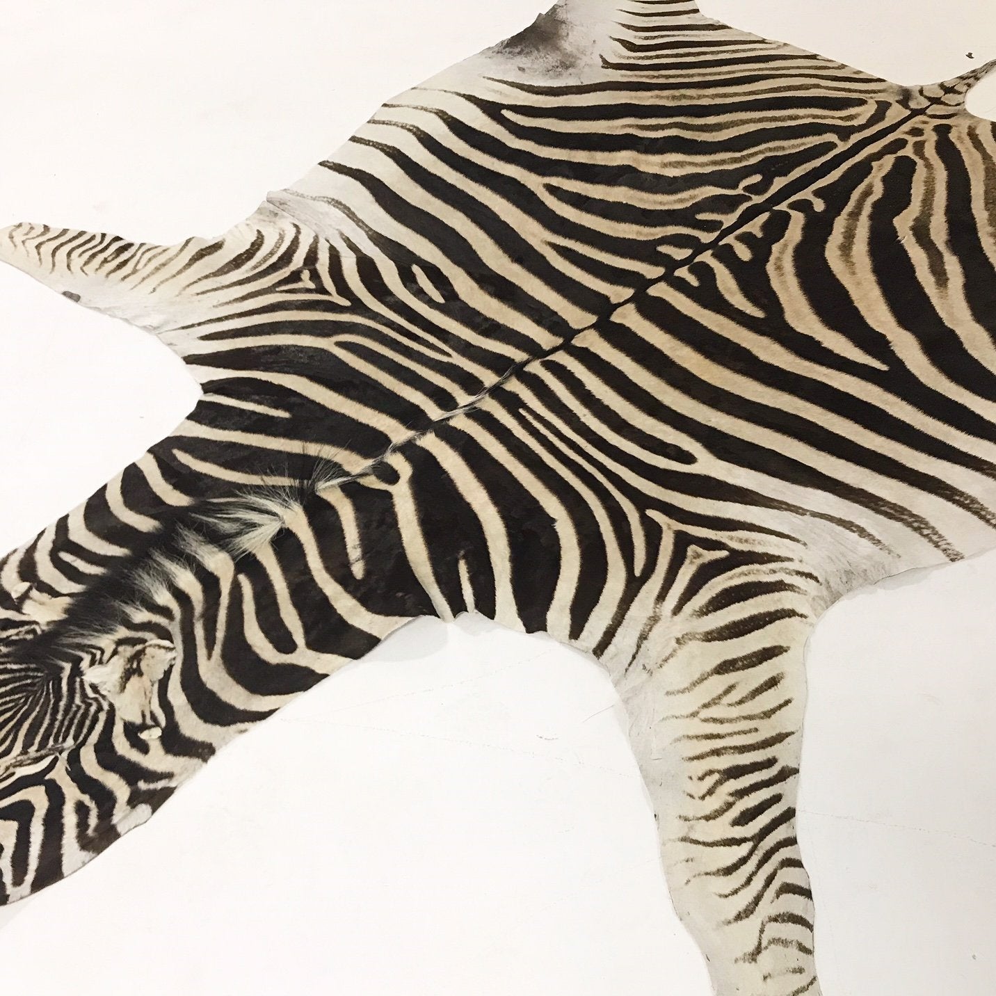 ZEBRA HIDE RUG - Navajo