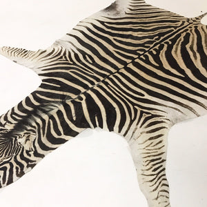 ZEBRA HIDE RUG - Navajo