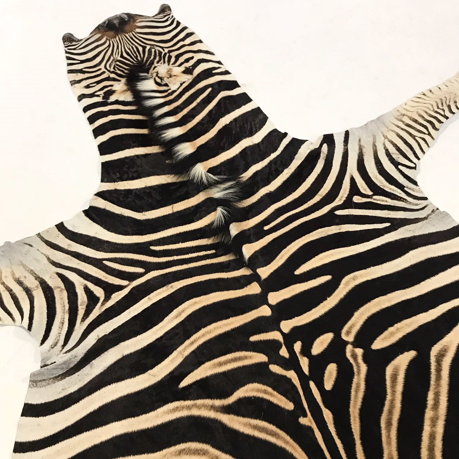 ZEBRA HIDE RUG - Brevard