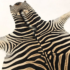 ZEBRA HIDE RUG - Brevard