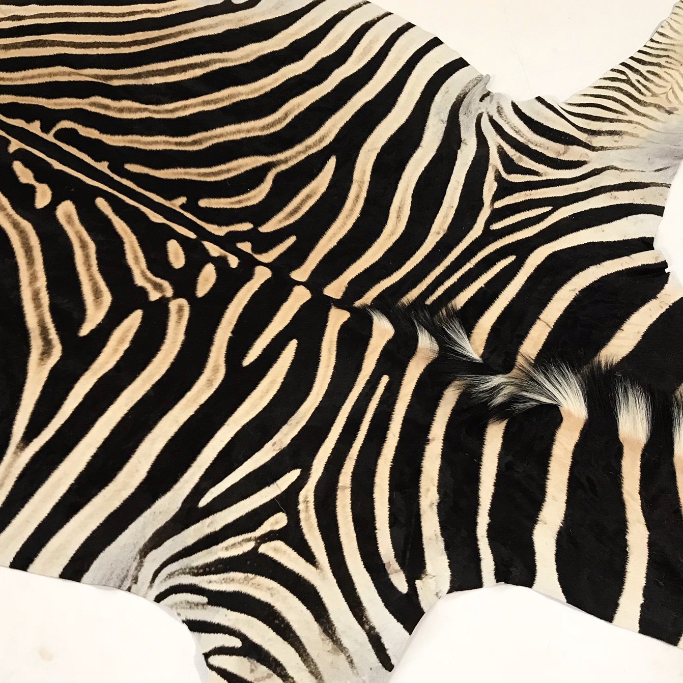 ZEBRA HIDE RUG - Brevard
