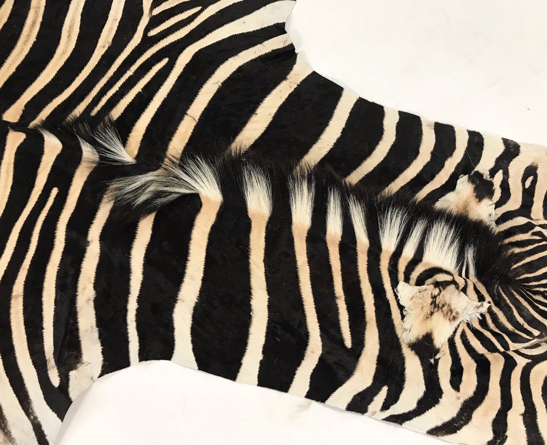 ZEBRA HIDE RUG - Brevard