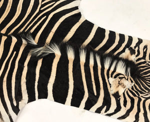 ZEBRA HIDE RUG - Brevard