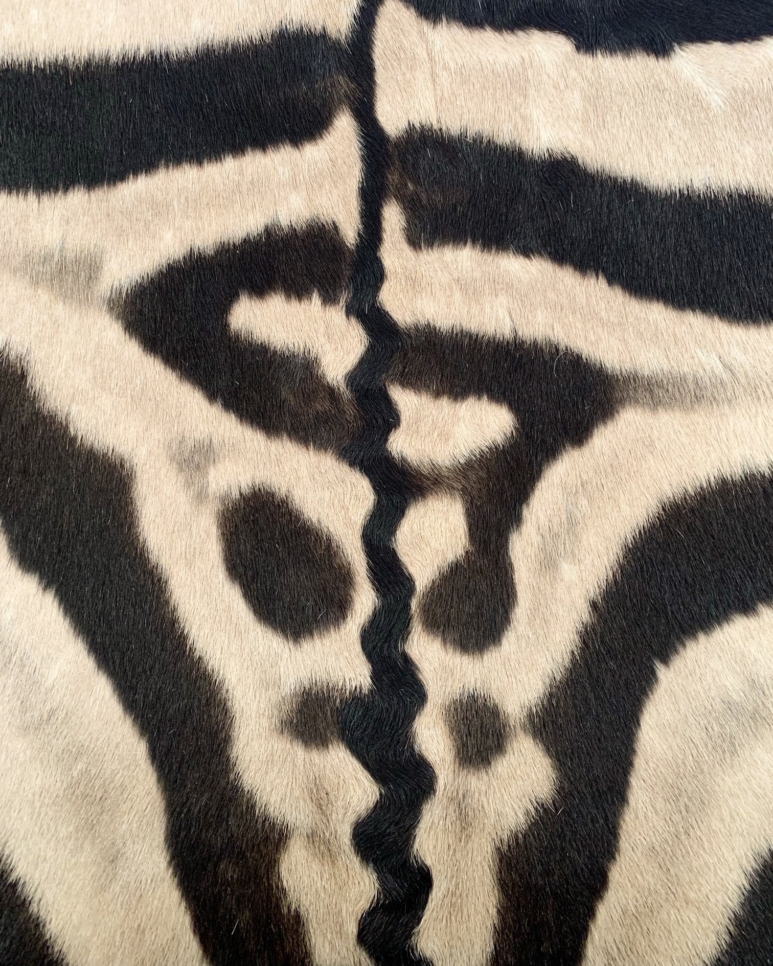 Arne Jacobsen for Fritz Hansen Egg Chair in Zebra Hide and Loro Piana Leather