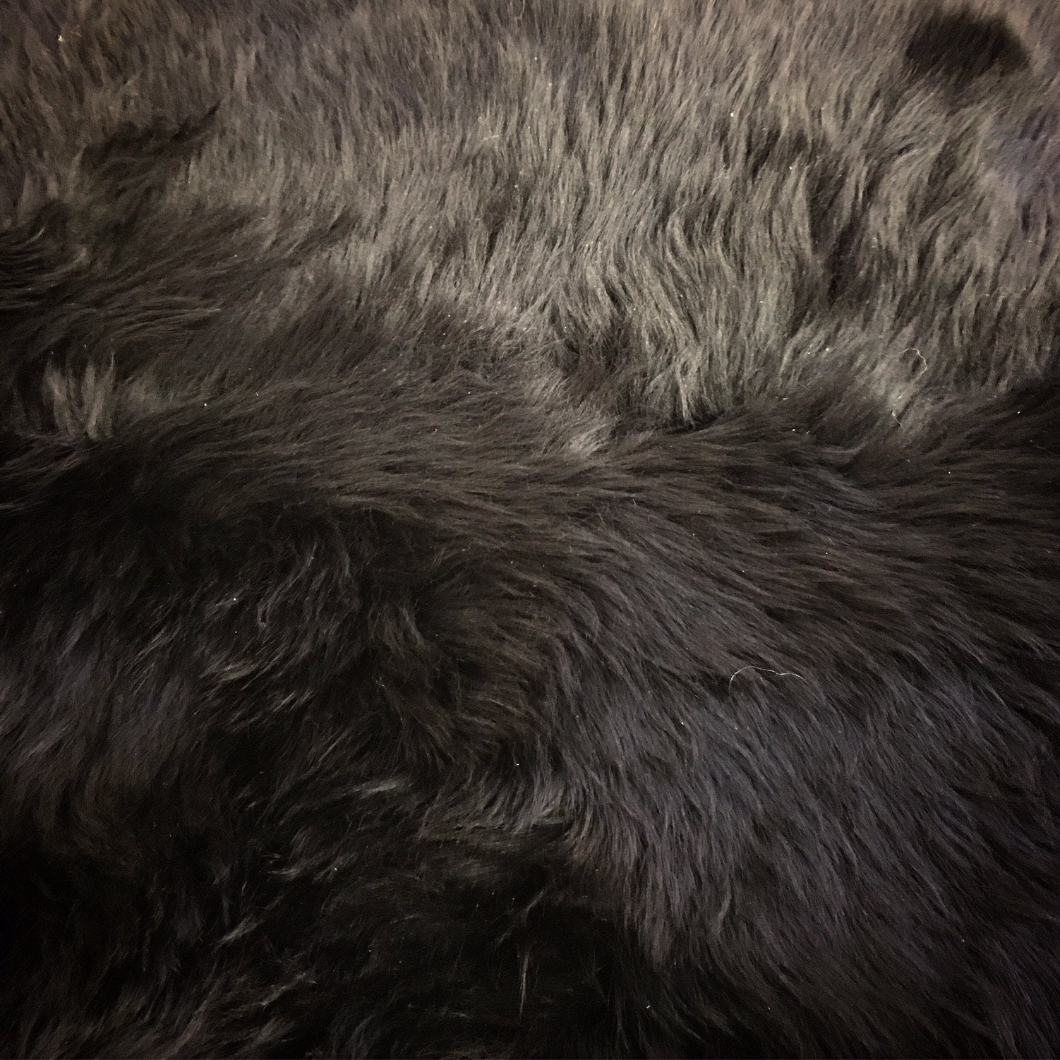 New Zealand Sheepskin Rug - Black