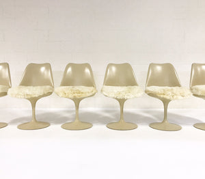 Eero Saarinen Tulip Dining Chairs with Brazilian Sheepskin Cushions - Set of 6