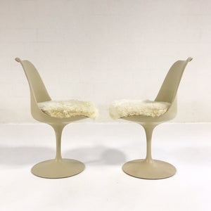 Eero Saarinen Tulip Dining Chairs with Brazilian Sheepskin Cushions - Set of 6