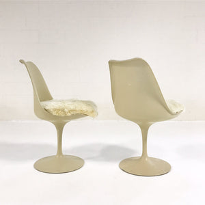 Eero Saarinen Tulip Dining Chairs with Brazilian Sheepskin Cushions - Set of 6
