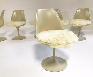 Eero Saarinen Tulip Dining Chairs with Brazilian Sheepskin Cushions - Set of 6