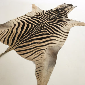 ZEBRA HIDE RUG - ELK