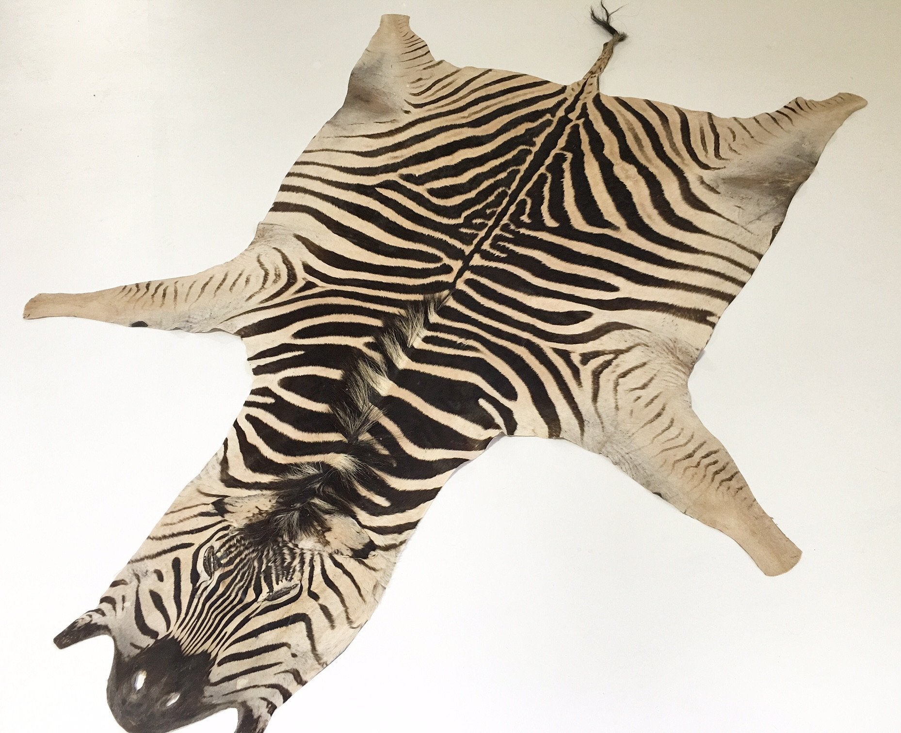 ZEBRA HIDE RUG - ELK
