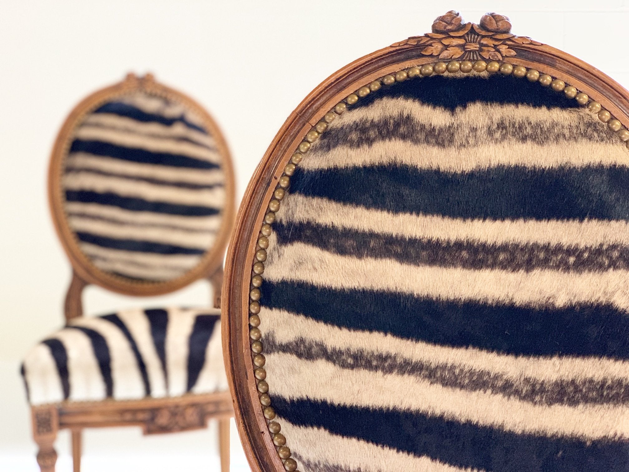 Louis XVI Style Side Chairs in Zebra Hide