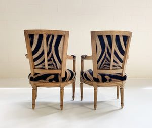 Louis XVI Style Armchairs in Zebra Hide