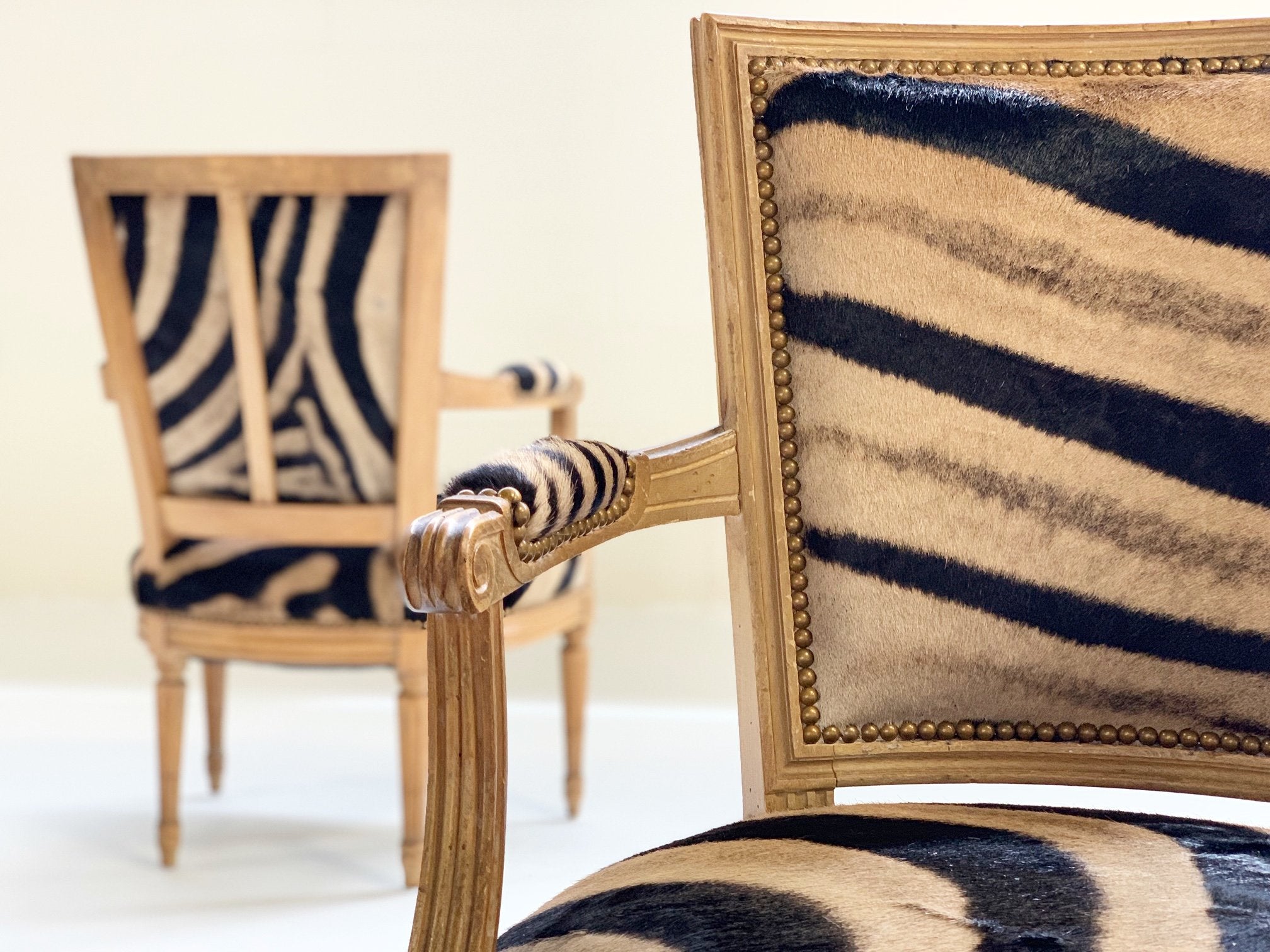 Louis XVI Style Armchairs in Zebra Hide