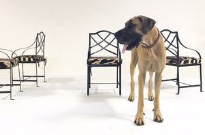 Iron Garden Dining Chairs Painted Farrow & Ball Blue Black with Zebra Hide Cushions - Set of 4